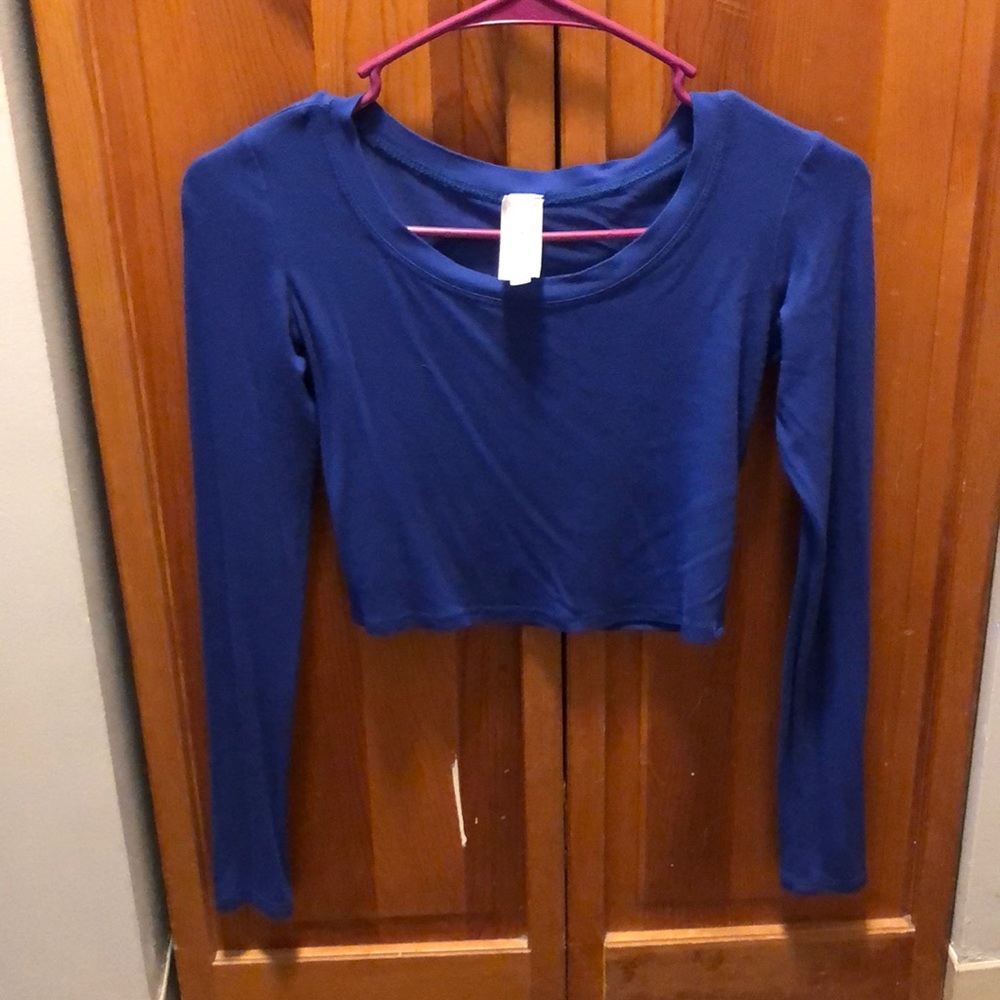 Long sleeve crop top (never worn)